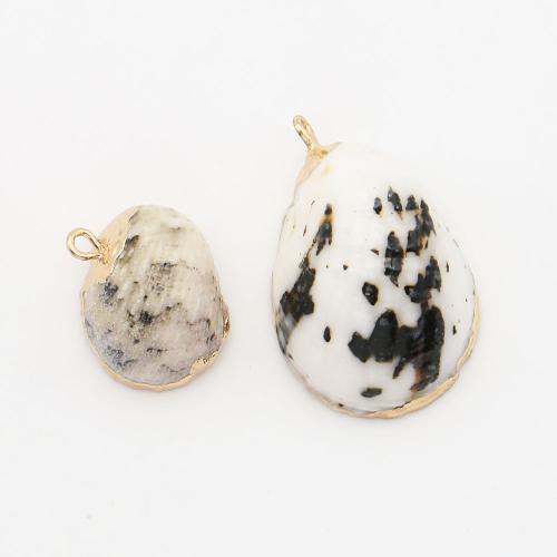 Shell Pendants, with Brass, Conch, plated, DIY, mixed colors, 18x19mm-20x31mm, Sold By PC