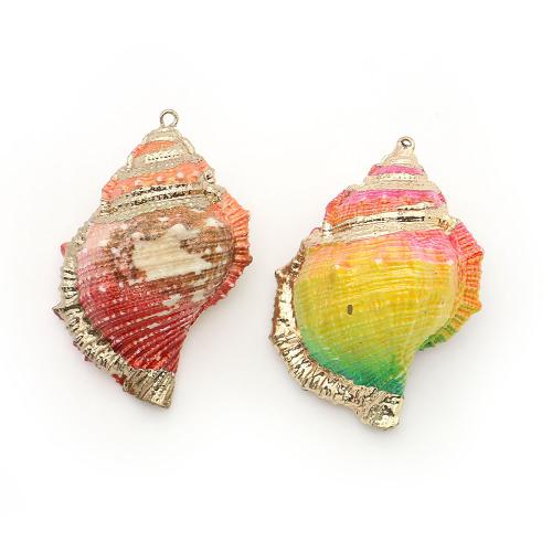 Shell Pendants, with Brass, Conch, plated, DIY, more colors for choice, 39x51mm-43x68mm, Sold By PC