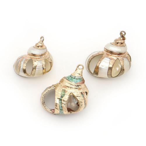 Shell Pendants, with Brass, Conch, plated, DIY & hollow, more colors for choice, 20x29mm-25x44mm, Sold By PC