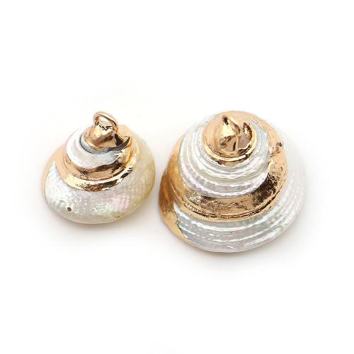 Shell Pendants, with Brass, Conch, plated, DIY, more colors for choice, 15x16mm-23x25mm, Sold By PC