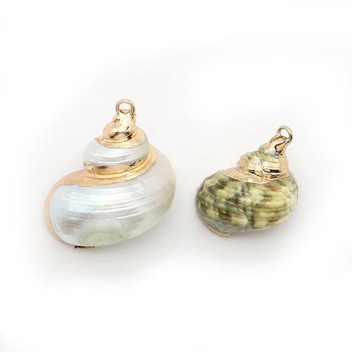 Shell Pendants, with Brass, Conch, plated, DIY, more colors for choice, Sold By PC
