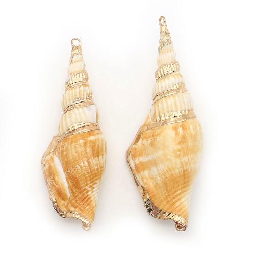 Shell Pendants, with Brass, Conch, plated, DIY, mixed colors, 28x78mm-32x86mm, Sold By PC