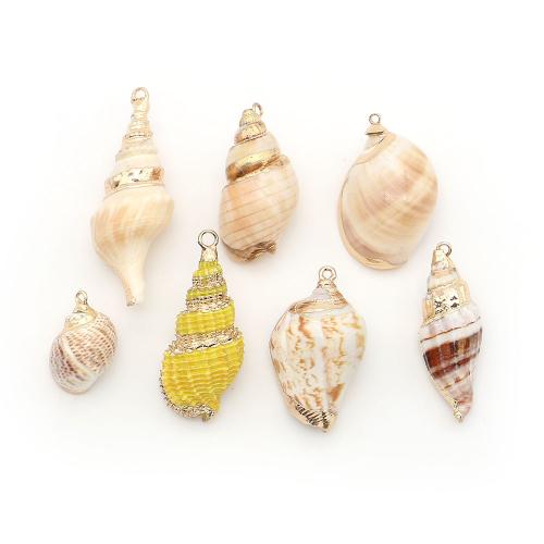 Shell Pendants, with Brass, Conch, plated, DIY, more colors for choice, Sold By PC