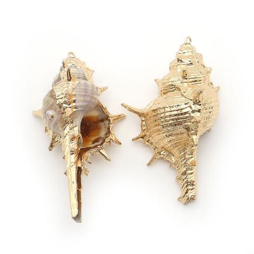Shell Pendants, with Brass, Conch, plated, DIY, more colors for choice, 35x69mm-39x65mm, Sold By PC