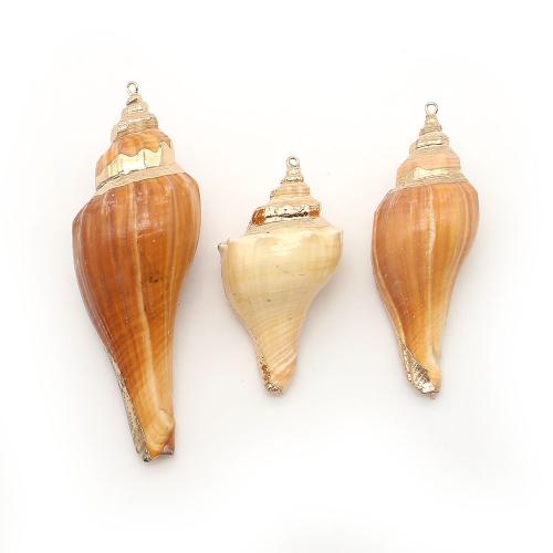 Shell Pendants, with Brass, Conch, plated, DIY, more colors for choice, 22x61mm-33x94mm, Sold By PC
