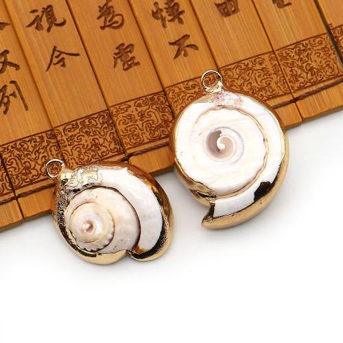 Shell Pendants, with Brass, Conch, plated, DIY, more colors for choice, 21x29mm-23x31mm, Sold By PC
