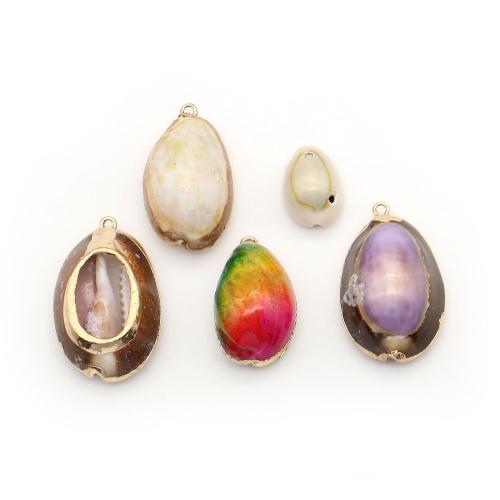 Shell Pendants, with Brass, Conch, plated, DIY, more colors for choice, Sold By PC
