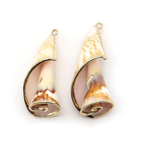 Shell Pendants, with Brass, Conch, plated, DIY, mixed colors, 19x49mm-20x44mm, Sold By PC