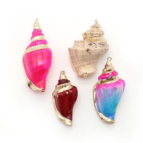 Shell Pendants, with Brass, Conch, plated, DIY, more colors for choice, Sold By PC