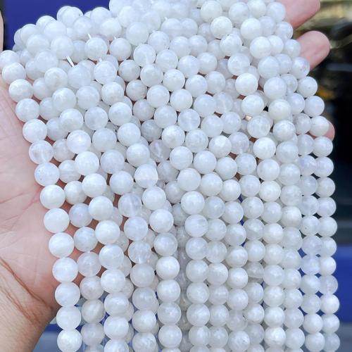 Abalorios de Piedra Lunar, Esférico, pulido, Bricolaje & diverso tamaño para la opción, Vendido por Sarta