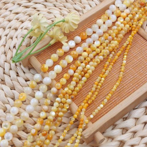 Natural Seashell Beads, Shell, DIY, mixed colors, Sold Per 38 cm Strand