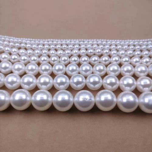 Бусины из ракушек с Южного моря, Shell Pearl, DIY, белый, 3-16mm, продается Strand