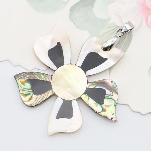 Shell Pendants, Natural Seashell, with Brass, plated, DIY, mixed colors, 51x55mm, Sold By PC