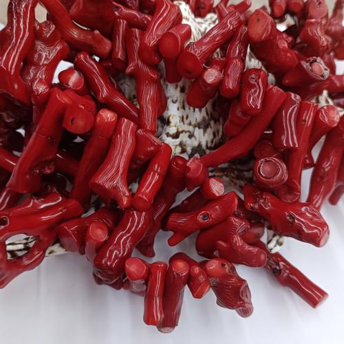 Sea Bamboo Coral Beads, DIY, red, 10-50mm, Sold By KG