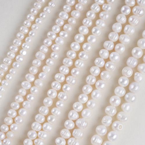 Naturel d'eau douce perles, perle d'eau douce cultivée, Légèrement rond, Placage de couleur d'or, DIY, plus de couleurs à choisir, 3-13mm, Vendu par 18 cm brin