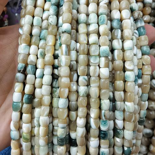 Natürliche Süßwasser Muschel Perlen, DIY, gemischte Farben, 5x6mm, 67PCs/Strang, verkauft per 38 cm Strang