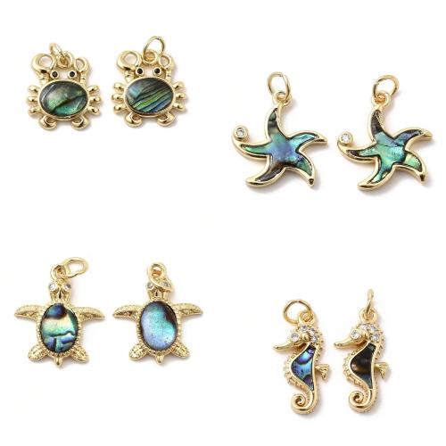 Natürliche Seeohr Muschel Anhänger, Messing, mit Seeohr Muschel, goldfarben plattiert, DIY & mit Strass, keine, frei von Nickel, Blei & Kadmium, 20PCs/Tasche, verkauft von Tasche