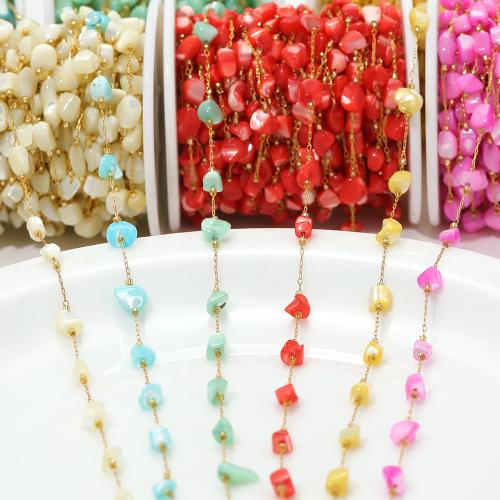 Decorative Beaded Chain, 304 Stainless Steel, with Shell, gold color plated, DIY, more colors for choice, Sold By m