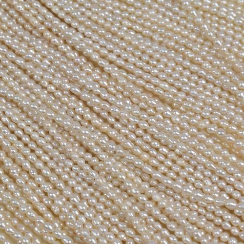 Perles d'eau douce de culture de riz, perle d'eau douce cultivée, Irrégulière, DIY, blanc, 3-4mm, Vendu par 39 cm brin