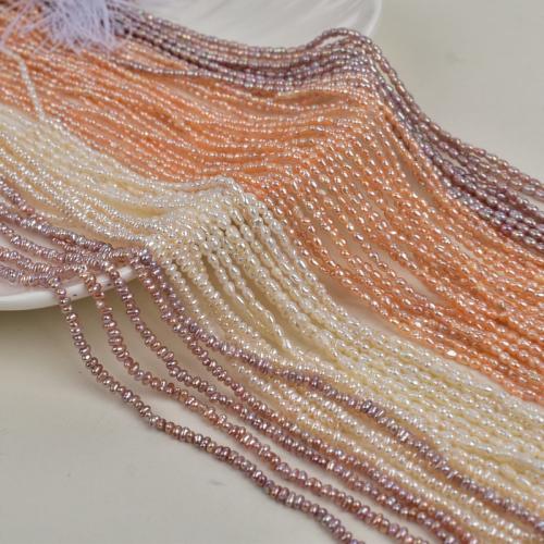 Perles d'eau douce de culture de riz, perle d'eau douce cultivée, DIY, plus de couleurs à choisir, 2-3mm, Vendu par 36 cm brin