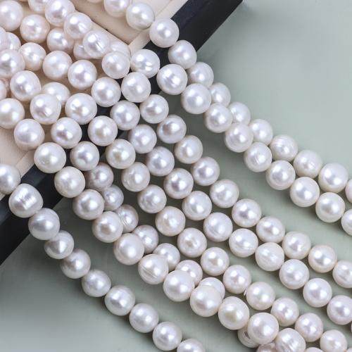 Natürliche Süßwasser, lose Perlen, Natürliche kultivierte Süßwasserperlen, rund, DIY, weiß, 9-10mm, Länge:39 cm, verkauft von PC
