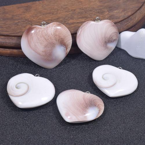 Pendentifs coquillage, coquille, avec Acier inoxydable 304, DIY, couleurs mélangées, Vendu par PC