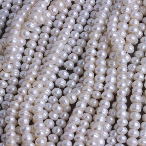 Natural Freshwater Pearl Loose Beads, Flat Round, DIY, white, 6-6.5mm, Sold Per 37 cm Strand