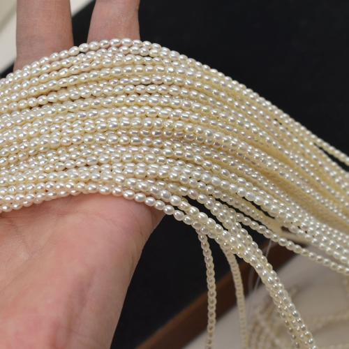 Cultured Rice Freshwater Pearl Beads, with Cotton Thread & 304 Stainless Steel, DIY, white, u7ea62.5mm, Sold Per 38 cm Strand