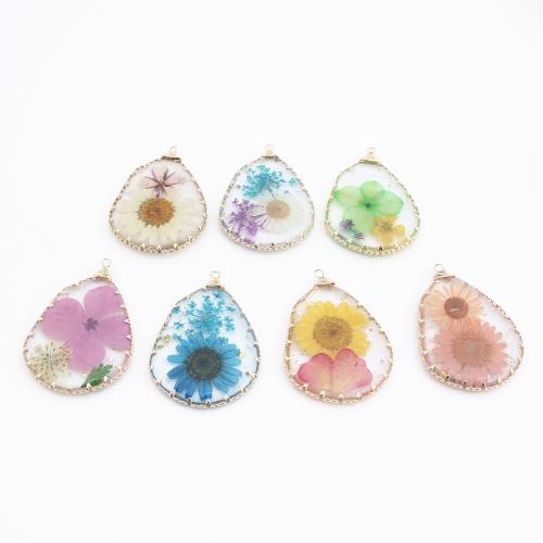 Brass Pendant, with Dried Flower & Resin, gold color plated, DIY, more colors for choice, 45x32x4mm, Sold By PC
