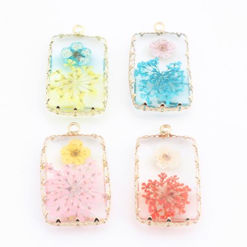 Brass Pendant, with Dried Flower & Resin, Geometrical Pattern, gold color plated, DIY, more colors for choice, 21x17.50x7mm, Sold By PC