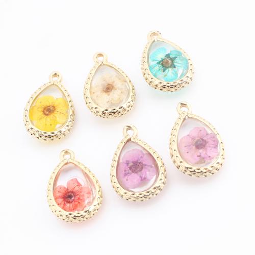 Brass Pendant, with Dried Flower & Resin, Teardrop, gold color plated, DIY, more colors for choice, Sold By PC
