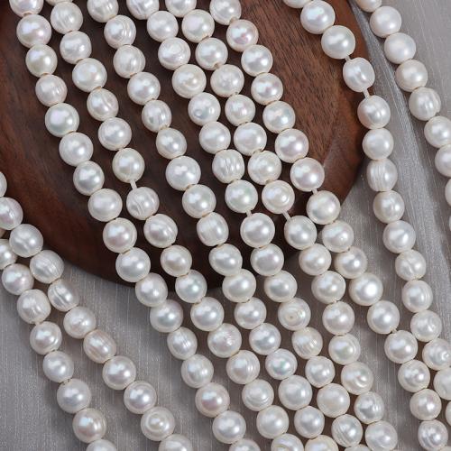 Natural Freshwater Pearl Loose Beads, DIY, beads size 11-12mm, Hole:Approx 3mm, Approx 30PCs/Strand, Sold By Strand