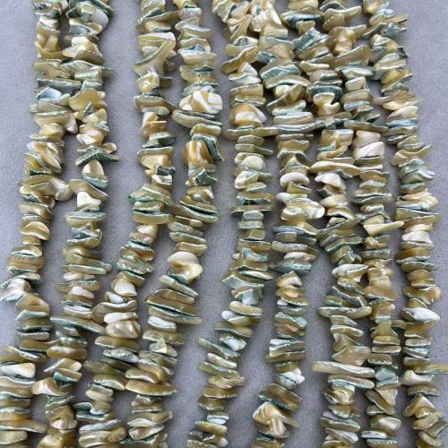Natural Freshwater Shell Beads, DIY, beads size 13-16mm, Approx 130PCs/Strand, Sold By Strand