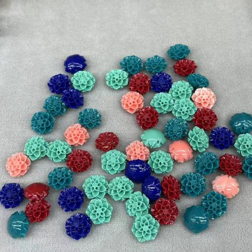 Natural Colored Shell Beads, Shell Powder, DIY & different styles for choice, mixed colors, 50PCs/Bag, Sold By Bag