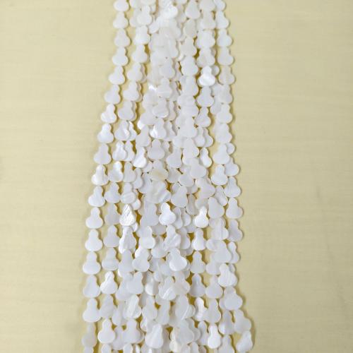 Natural Freshwater Shell Beads, Calabash, DIY & different size for choice, white, Sold By Strand