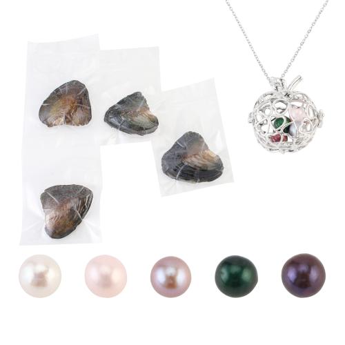 Palourde collier, avec Pendentif en alliage de zinc, avec 5cm chaînes de rallonge, pour femme & creux, plus de couleurs à choisir, pendant size 18-25mm, Longueur:Environ 40 cm, Vendu par fixé