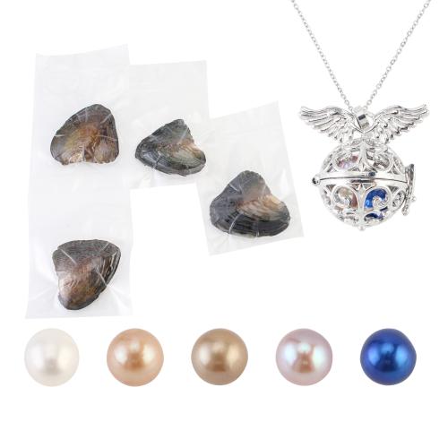 Palourde collier, avec Pendentif en alliage de zinc, avec 5cm chaînes de rallonge, pour femme & creux, plus de couleurs à choisir, pendant size 18-25mm, Longueur:Environ 40 cm, Vendu par fixé