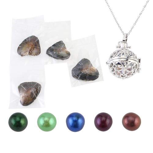 Clam Necklace, with 304 Stainless Steel Chain & Tibetan Style pendant, with 5cm extender chain, for woman & hollow, more colors for choice, pendant size 18-25mm, Length:Approx 40 cm, Sold By Set