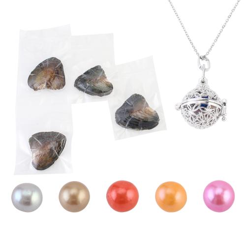 Clam Necklace, with 304 Stainless Steel Chain & Tibetan Style pendant, with 5cm extender chain, for woman & hollow, more colors for choice, pendant size 18-25mm, Length:Approx 40 cm, Sold By Set