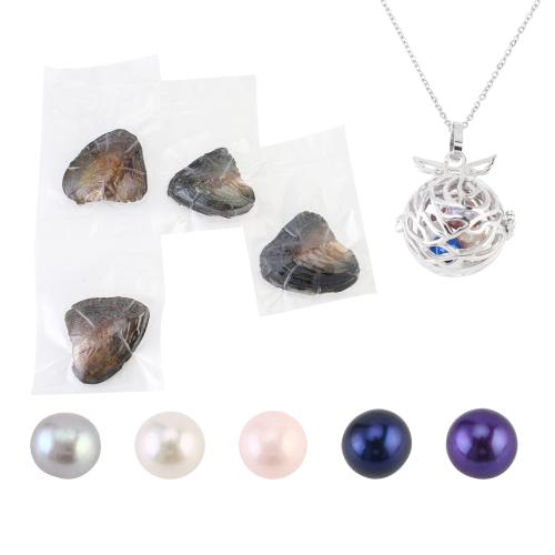 Clam Necklace, with 304 Stainless Steel Chain & Tibetan Style pendant, with 5cm extender chain, for woman & hollow, more colors for choice, pendant size 18-25mm, Length:Approx 40 cm, Sold By Set