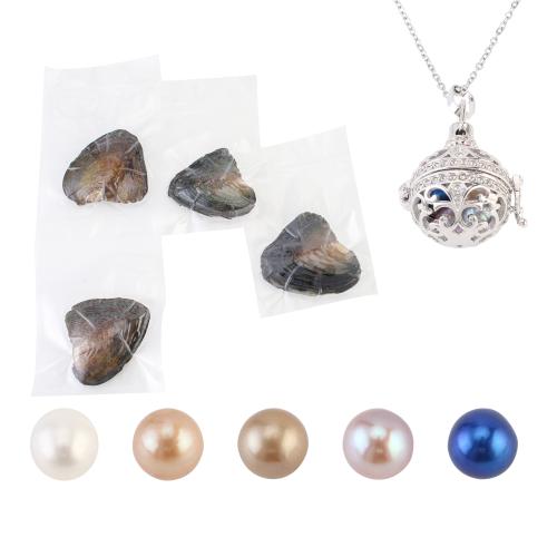 Clam Necklace, with 304 Stainless Steel Chain & Tibetan Style pendant, with 5cm extender chain, for woman & hollow, more colors for choice, pendant size 18-25mm, Length:Approx 40 cm, Sold By Set