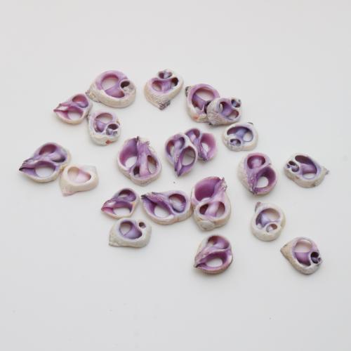 Подвески из ракушек, Ракушка, Ракушка, DIY, фиолетовый, pendant size 14-21mm, продается PC