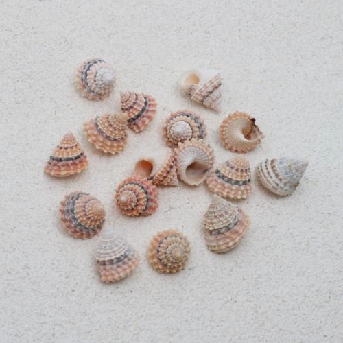 Натуральная труба оболочки подвески, Трубчатая ракушка, Ракушка, DIY, красный, shell size 14-25mm, продается PC