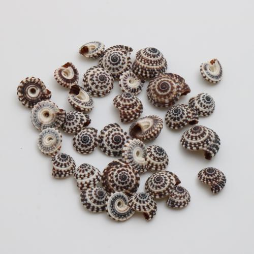 Натуральная труба оболочки подвески, Трубчатая ракушка, Ракушка, DIY, черный, pendant size 9-10mm, продается PC