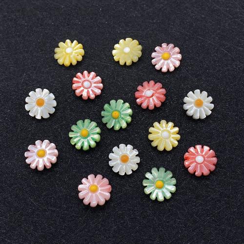 Natural Colored Shell Beads, Freshwater Shell, Daisy, DIY & different size for choice, more colors for choice, Sold By PC