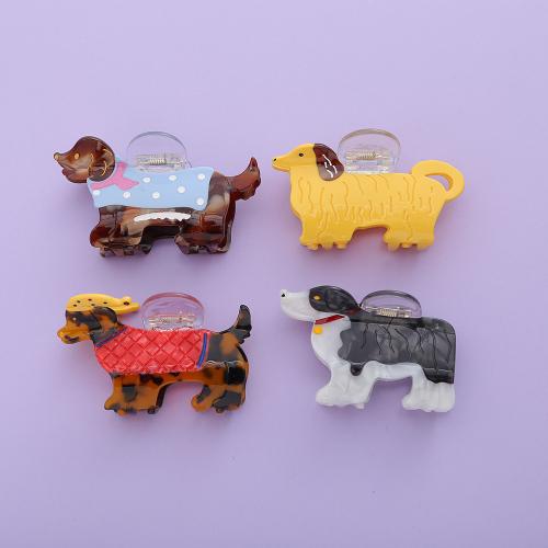 Hoja de acetato Garra de pelo, Perro, Lindo & diferentes estilos para la opción & para mujer, Vendido por UD