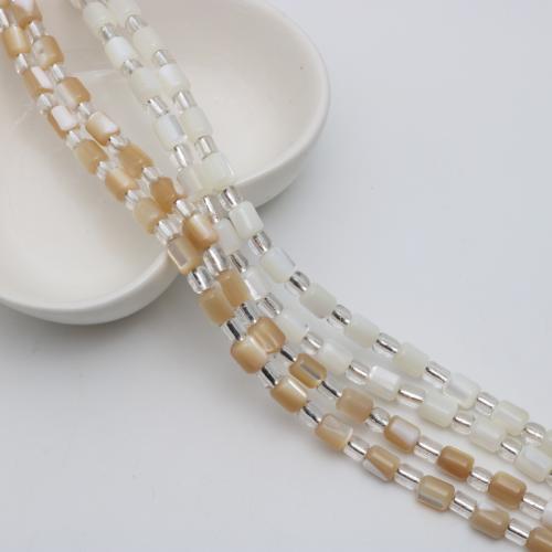 Natural Freshwater Shell Beads, Trochus Shell, DIY, Random Color, 5x6mm, Sold Per Approx 38 cm Strand