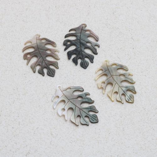 Pendentifs coquillage, coquille, feuille, gravé, DIY, 23x34mm, Vendu par PC