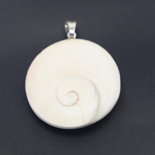 Natural Trumpet Shell Pendants, Flat Round, polished, random style & DIY, pendant size 40-30u00d715-8mm, Sold By PC