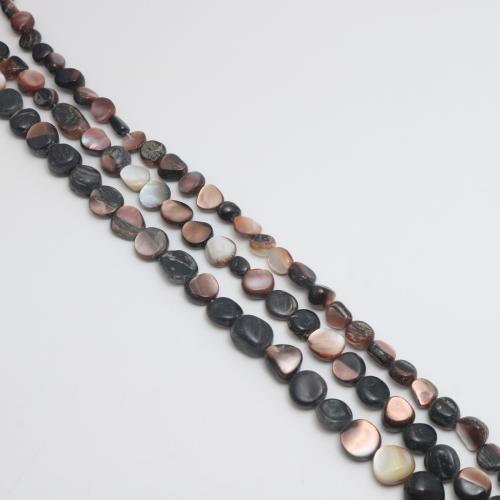 Natural Freshwater Shell Beads, Brown Lip Shell, irregular, polished, DIY & different size for choice, Sold Per Approx 38 cm Strand